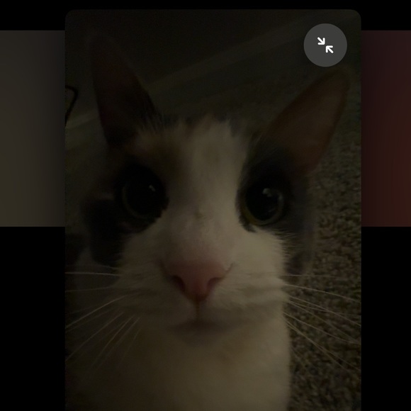vikky_nikky